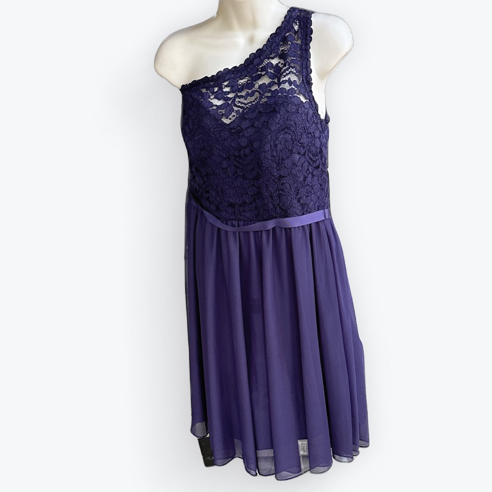 Flirty Romantic Feminine Lacy Lapis One-Shoulder Lace & Chiffon Overlay Dress~12